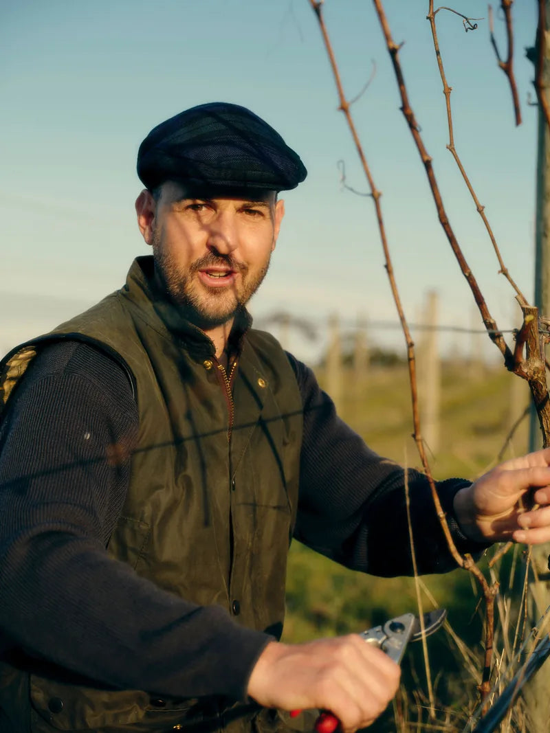 A person holding pruning shears in the vineyard