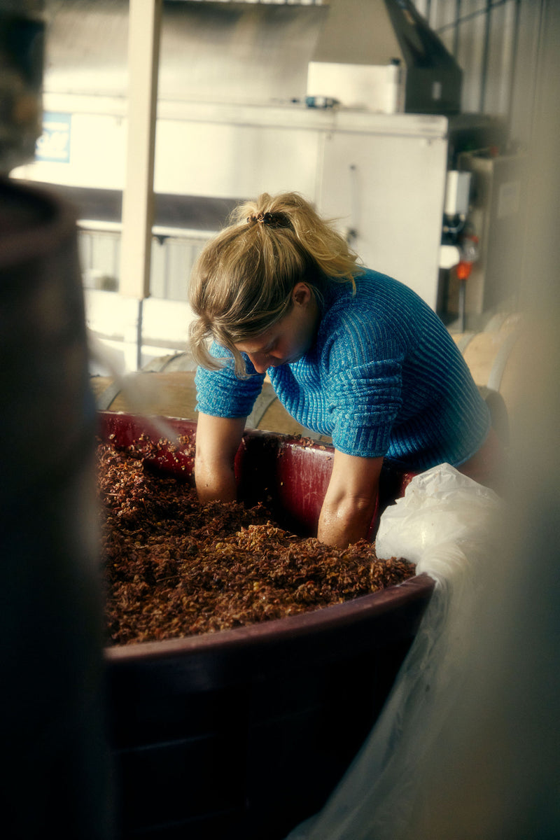 2025 'Skinsy' Pinot Gris