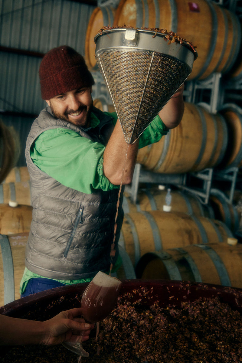 2025 'Skinsy' Pinot Gris
