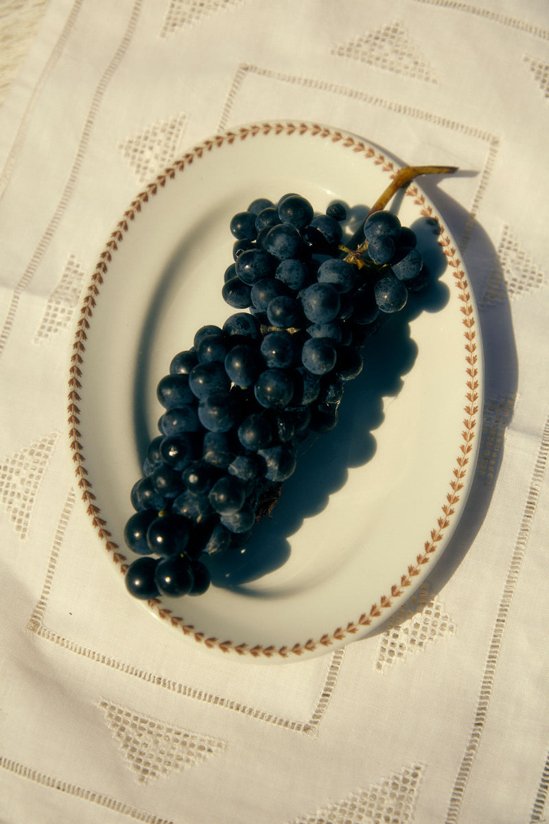 2023 Shiraz