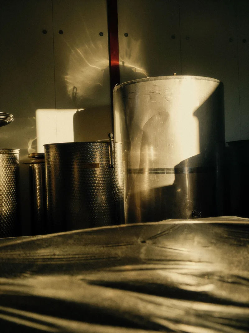 Sunlight falling across vessels inside the cellar